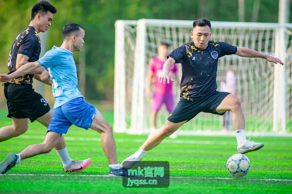 mk官网 行业前沿：数字化转型趋势报告